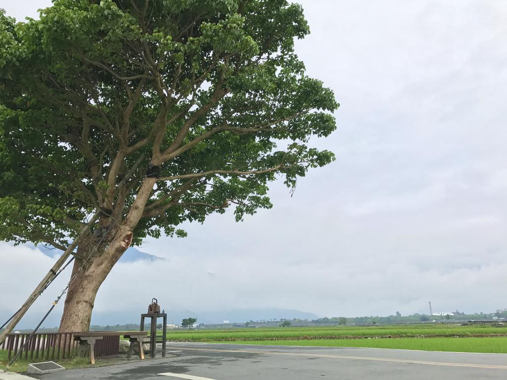 玉蟾園民宿 寵物友善 Yuchanyuan B&B Chishang Eksteriør billede