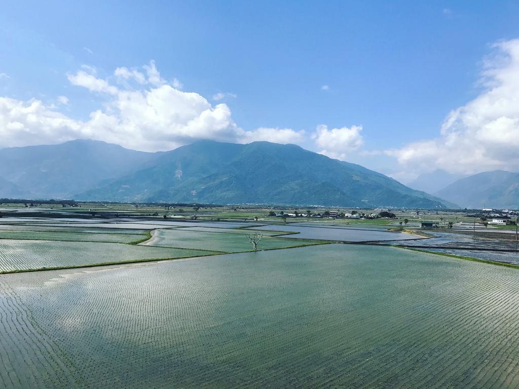 玉蟾園民宿 寵物友善 Yuchanyuan B&B Chishang Eksteriør billede