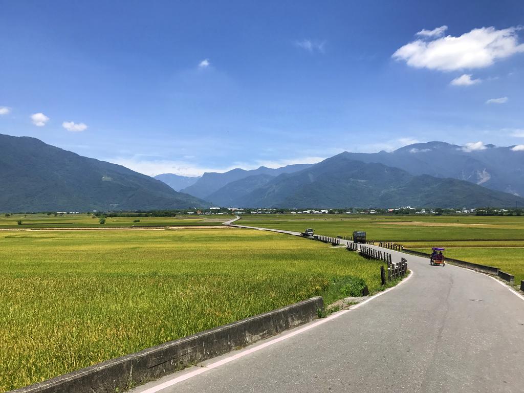 玉蟾園民宿 寵物友善 Yuchanyuan B&B Chishang Eksteriør billede